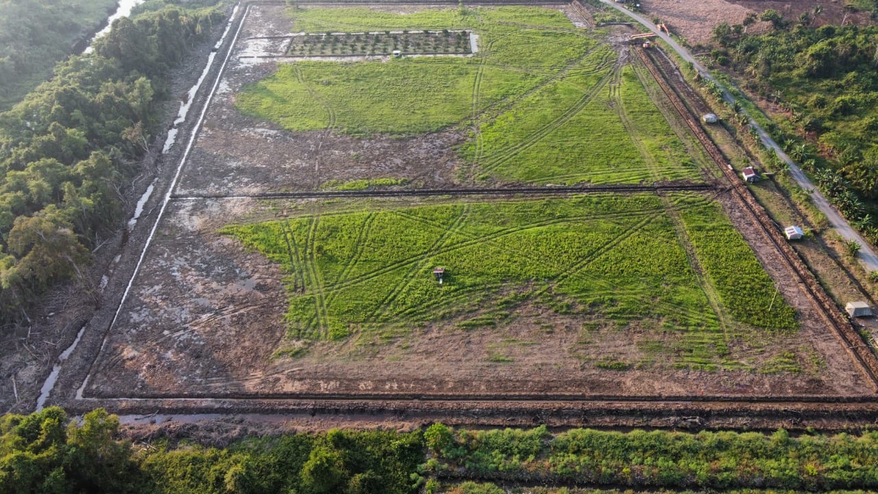 Aerial Perspective of Demonstration Paddy Plot at Rh. Unjah, Sg. Melangan, Sibu