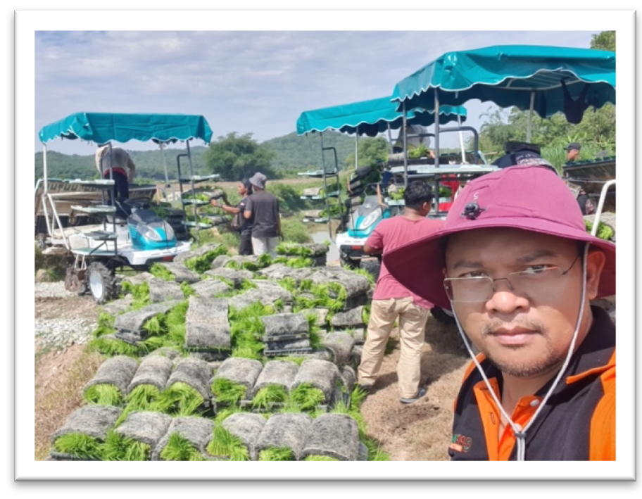6-Row Rice Transplanter and Nursery Trays